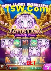 Recursos de Bônus 317 Bet