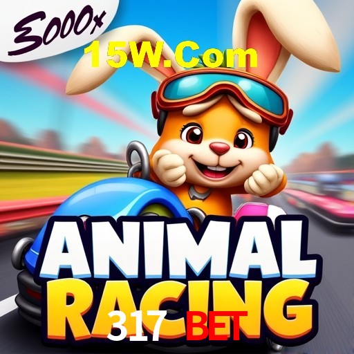 Experiência VIP 317 Bet